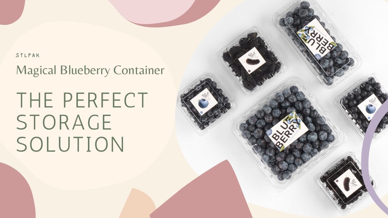 Magical Blueberry Container: The Perfect Storage Solution
