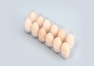 12 Egg Tray Plastic