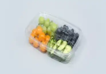 Cut Fruit Container