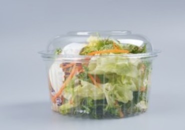 Plastic Salad Containers
