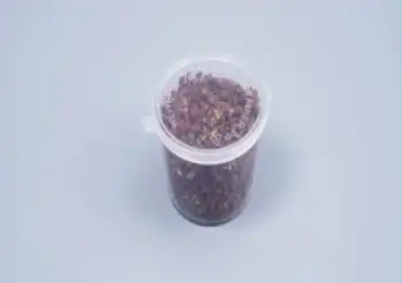 Sauce Container