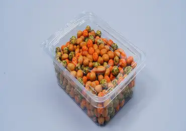 Tamper Evident Container