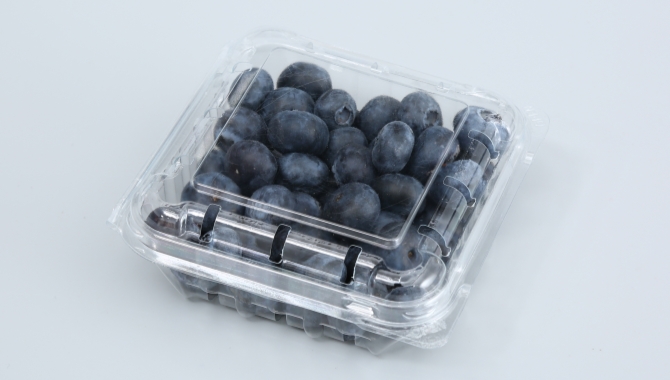 blueberry punnet 1-1