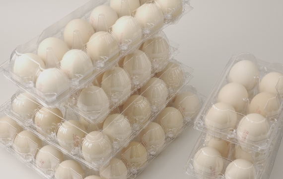 clear egg carton 1