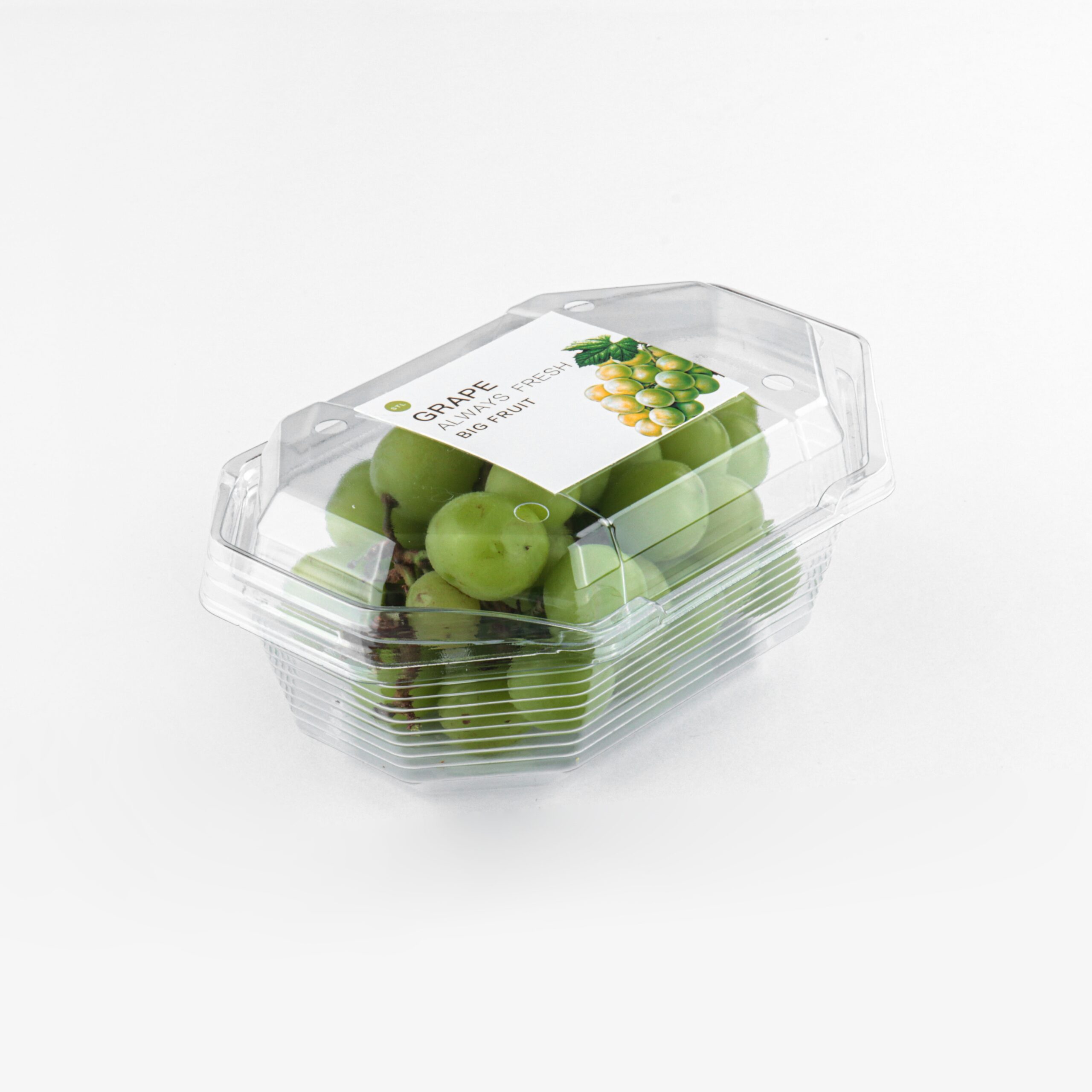 plastic fruit container B