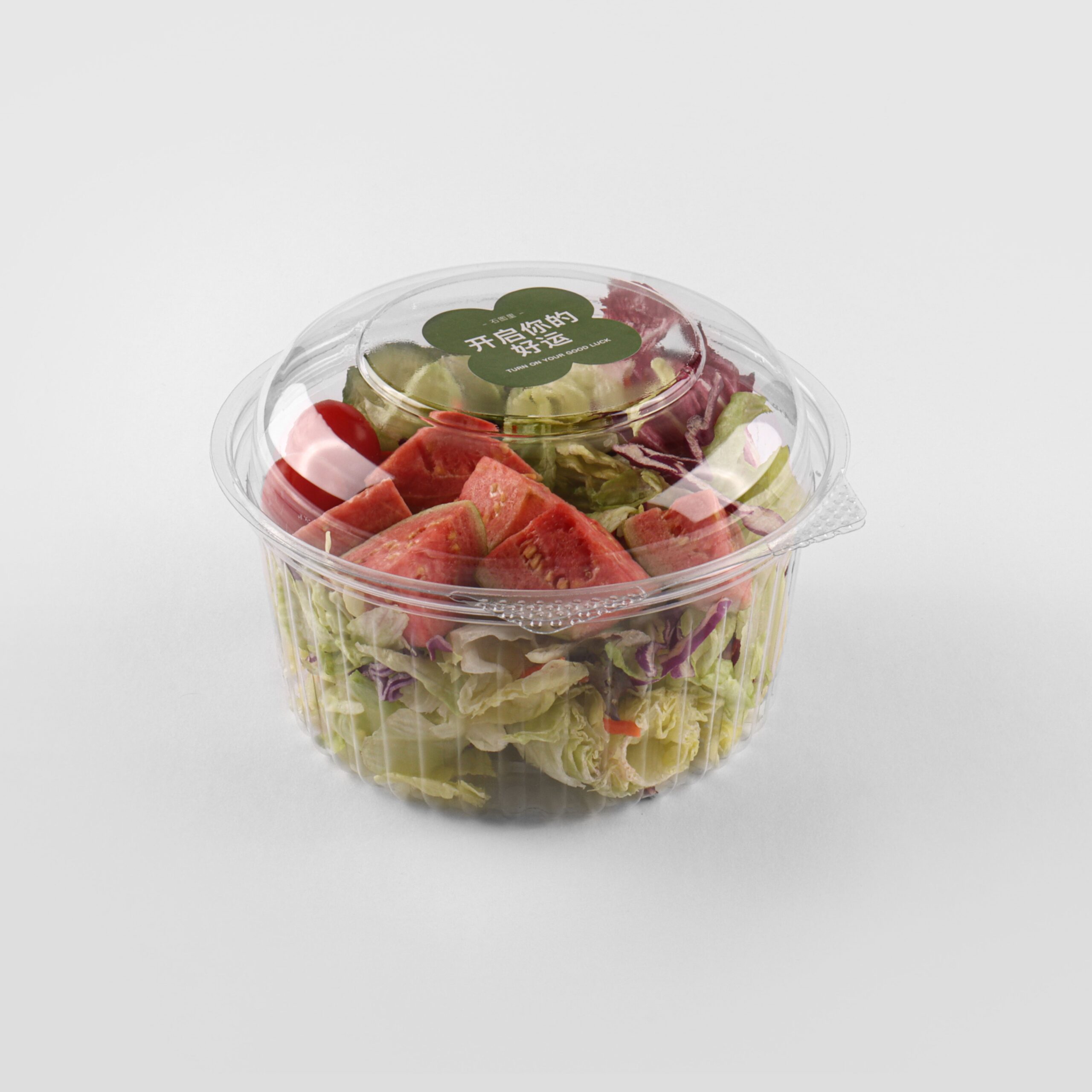 salad packaging containers 48DL