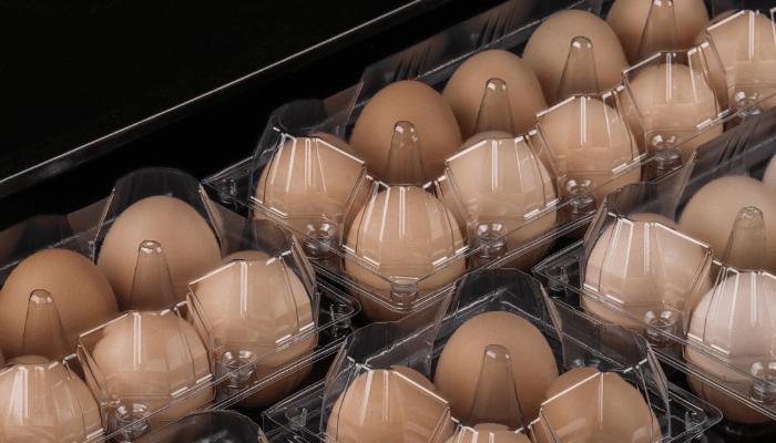 Classic clamshell box - Egg packaging