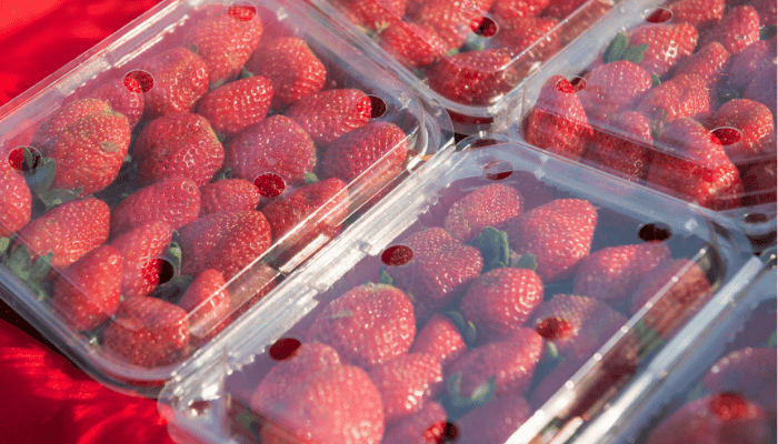 plastic fruit packaging strawberry punnet