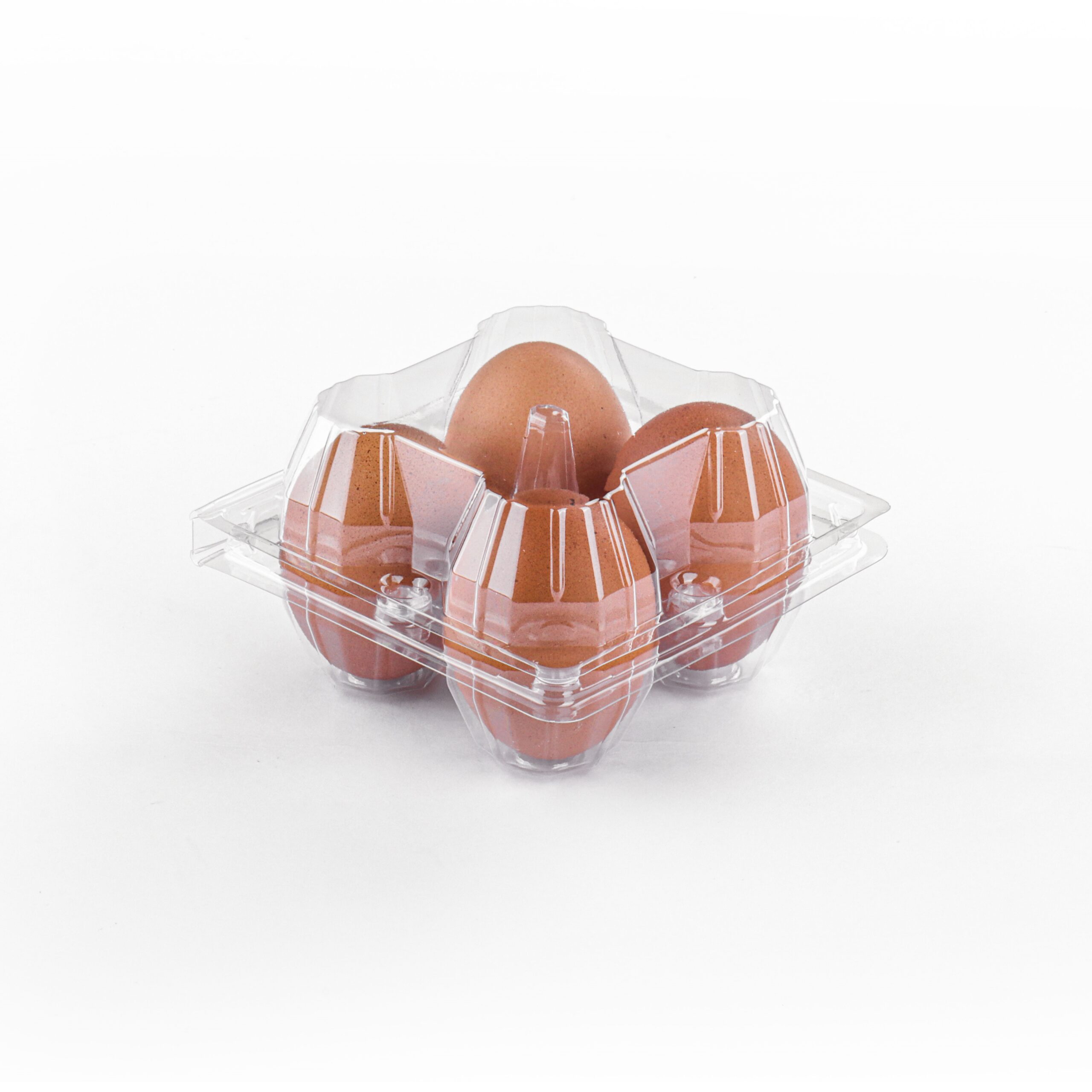 Clear Egg Carton J-04
