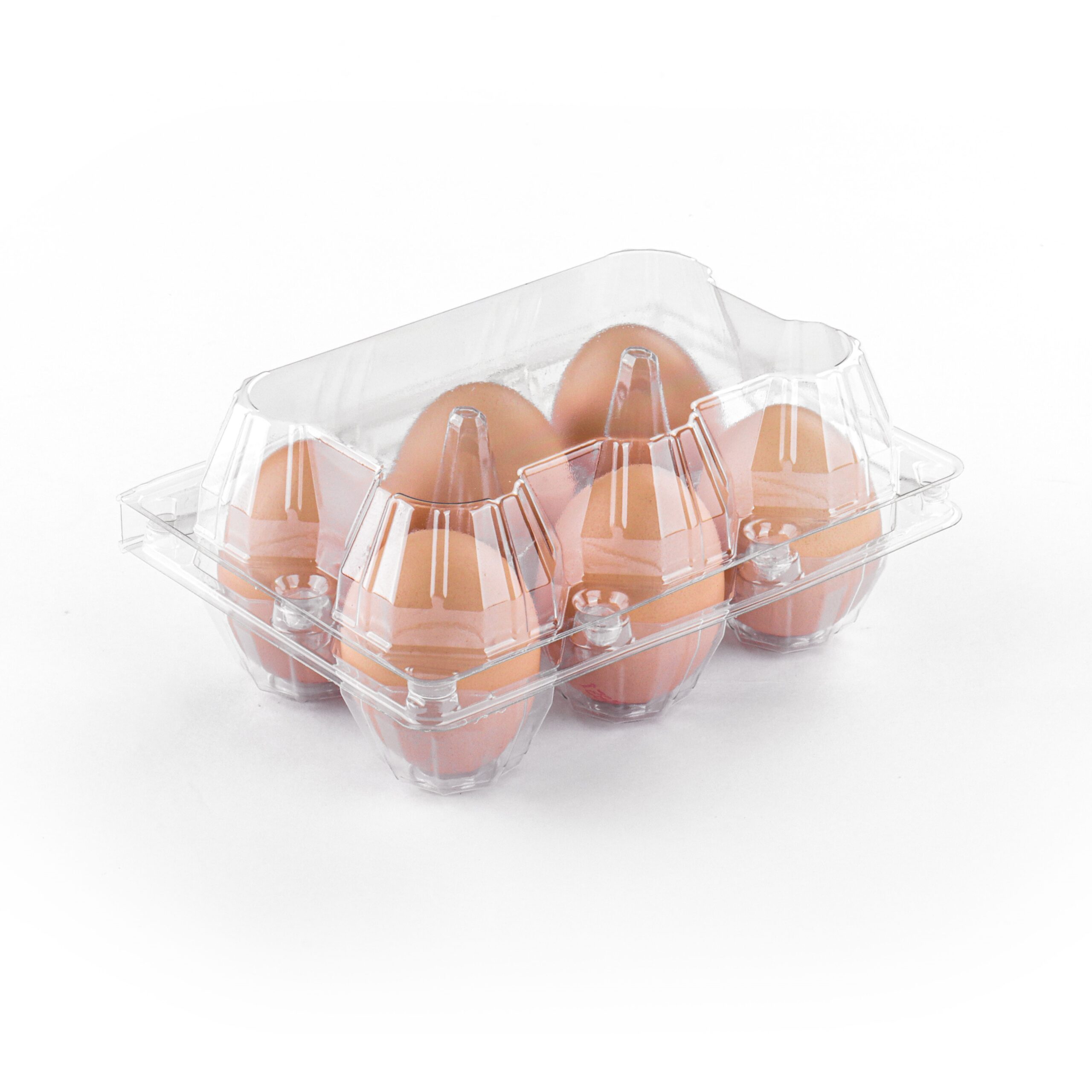 Clear Egg Carton J-06