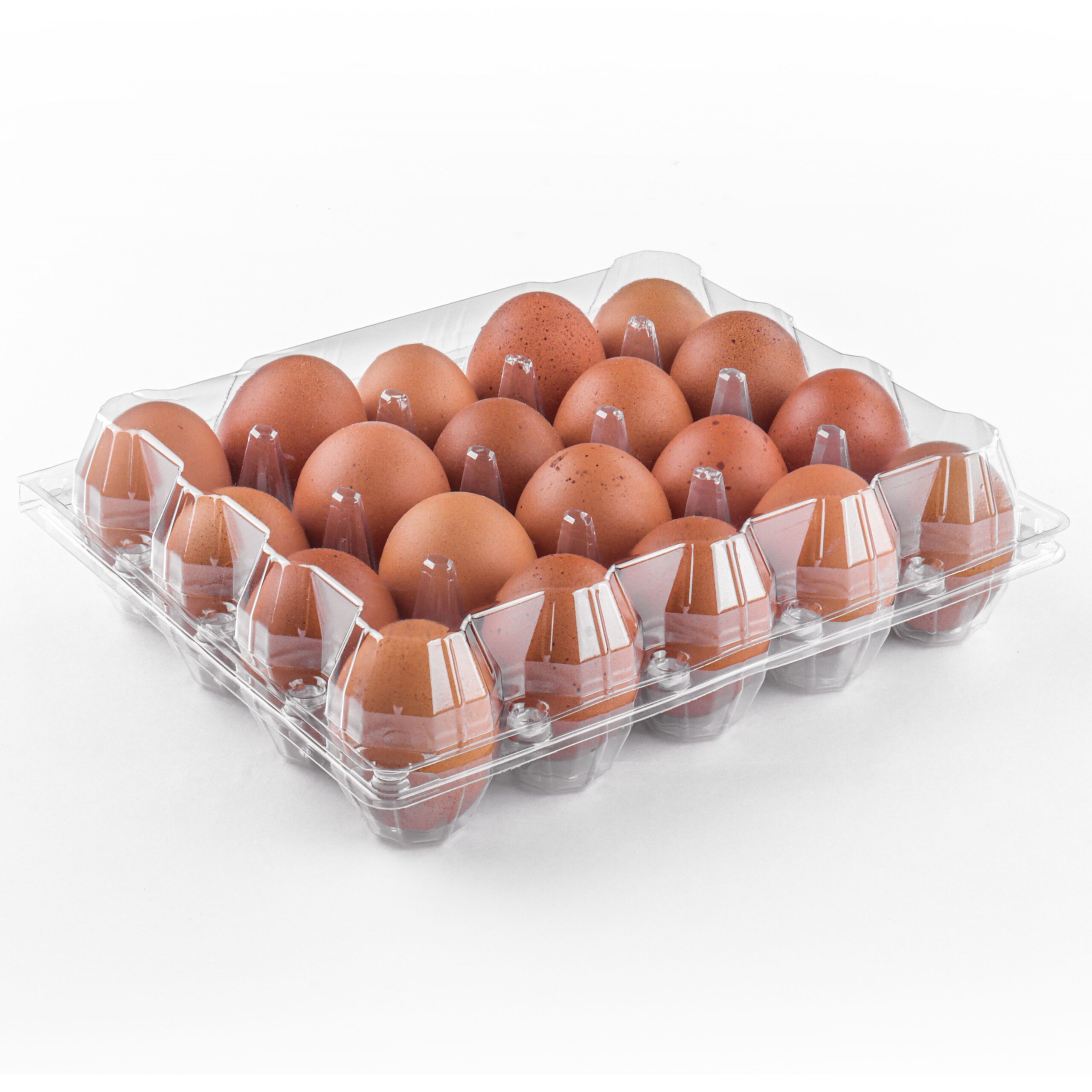 Clear Egg Carton J-20