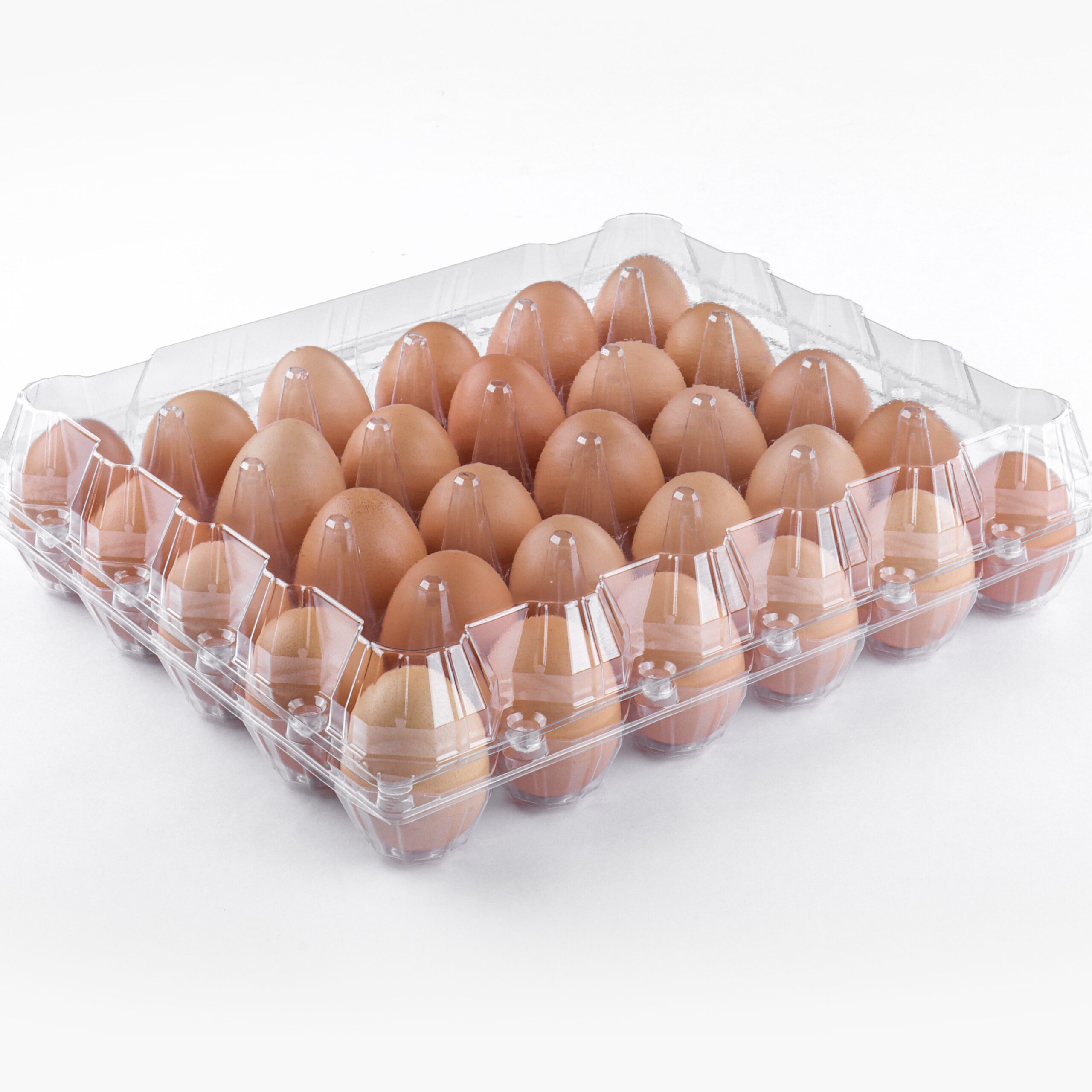 Clear Egg Carton J-30