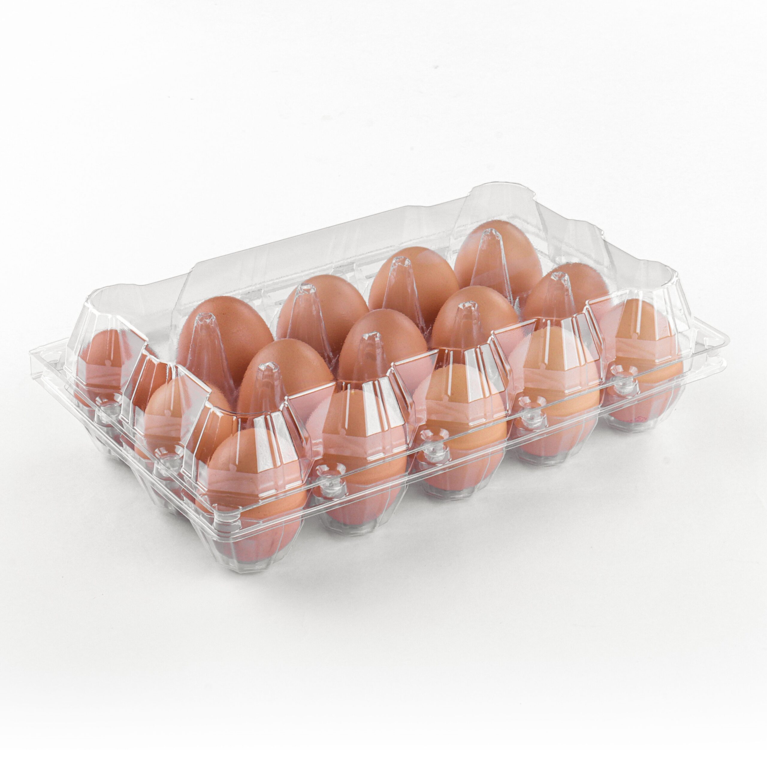 Clear Egg Carton J-53