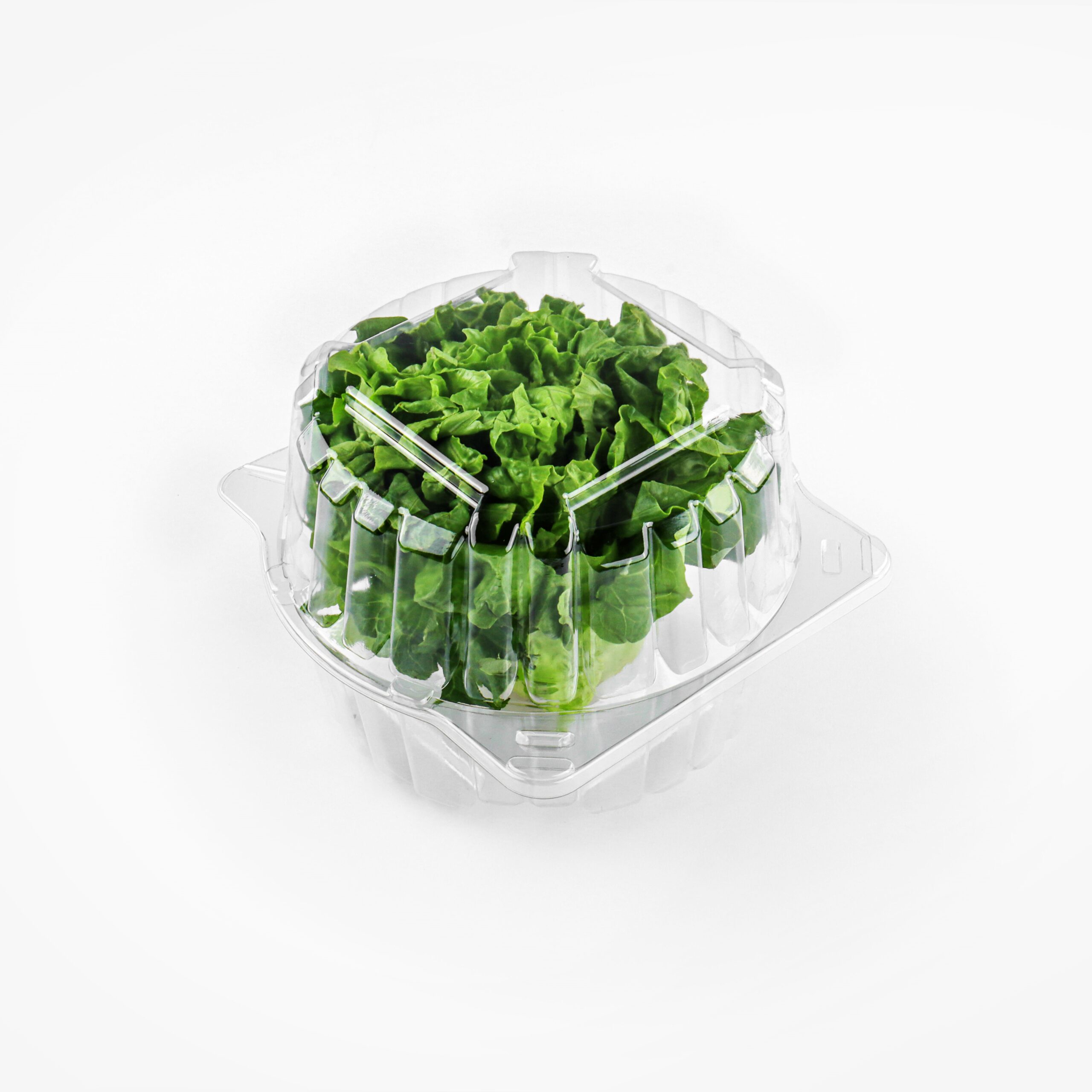 Lettuce Clamshell Packaging l101