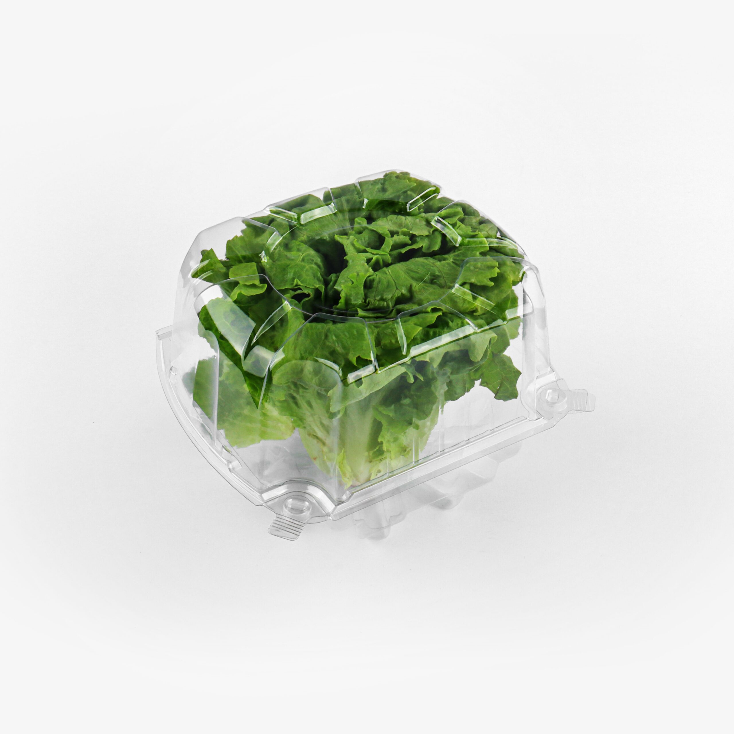 Lettuce Clamshell Packaging l102