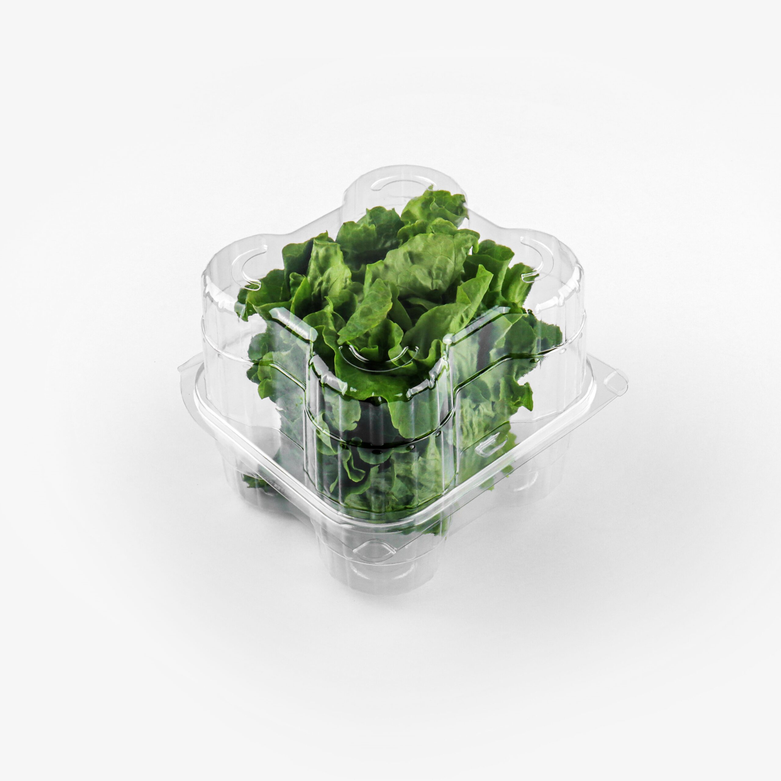 Lettuce Clamshell Packaging l401