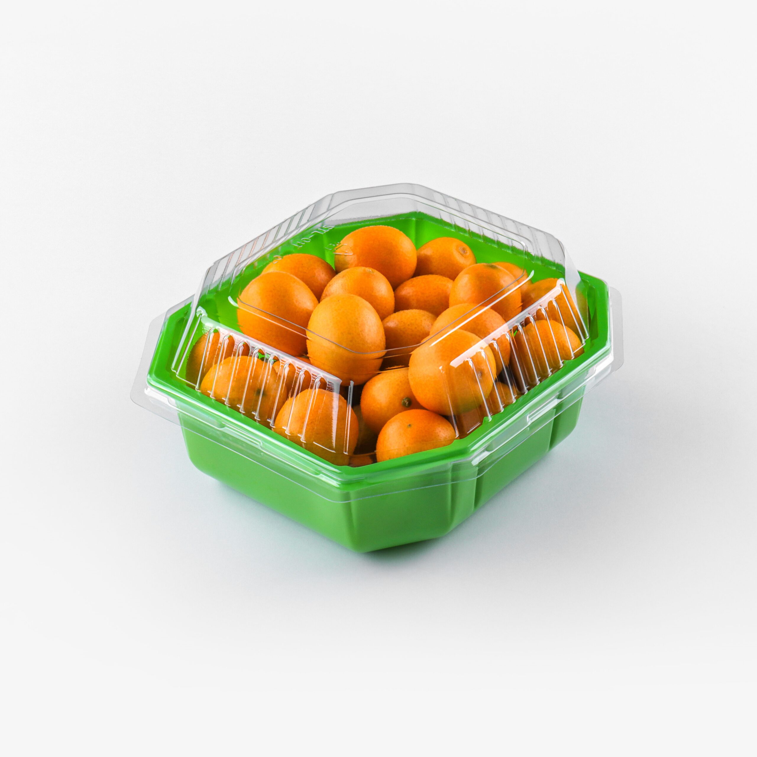 vegetable packing tray 01b