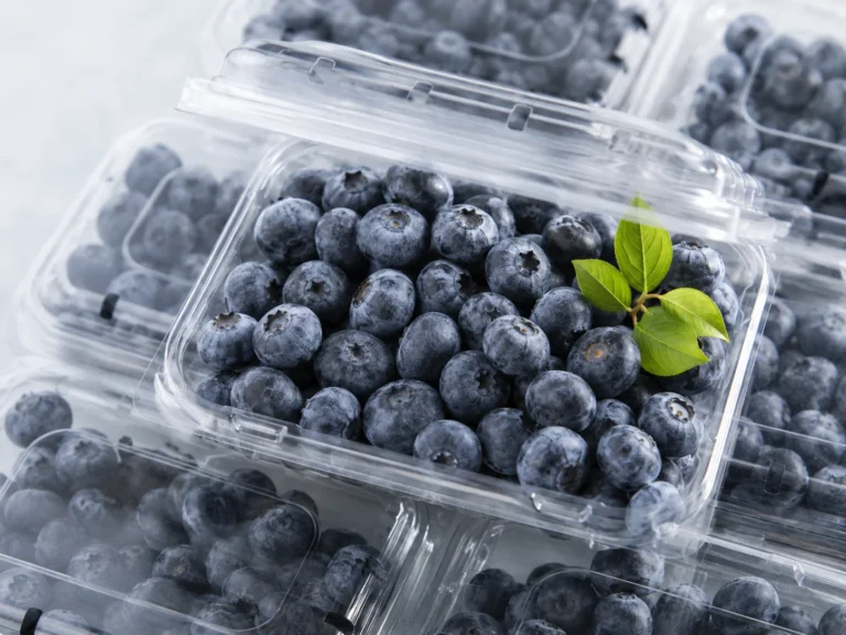 Fresh blueberries are packed into clear retail clamshell containers