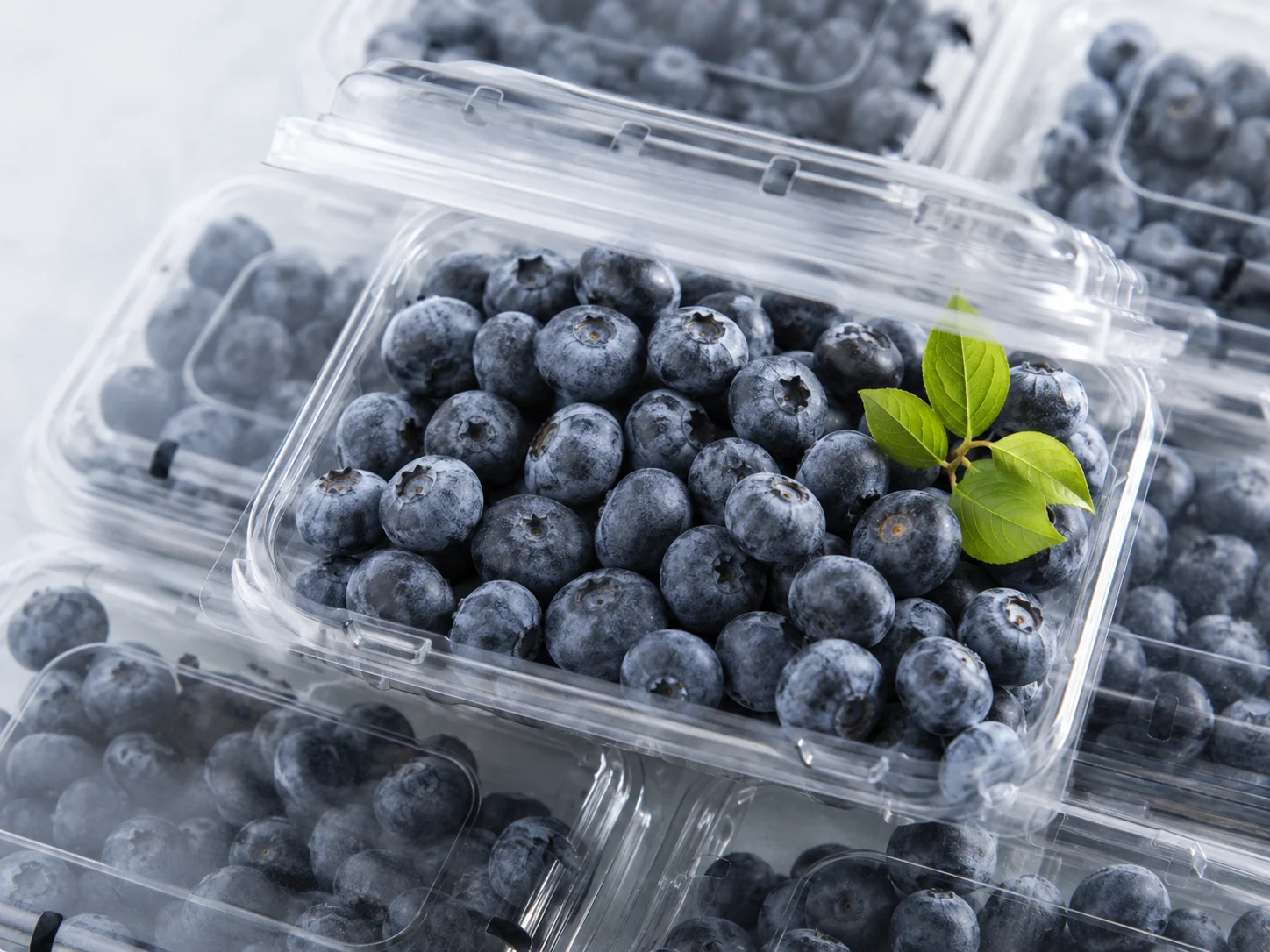 Fresh blueberries are packed into clear retail clamshell containers
