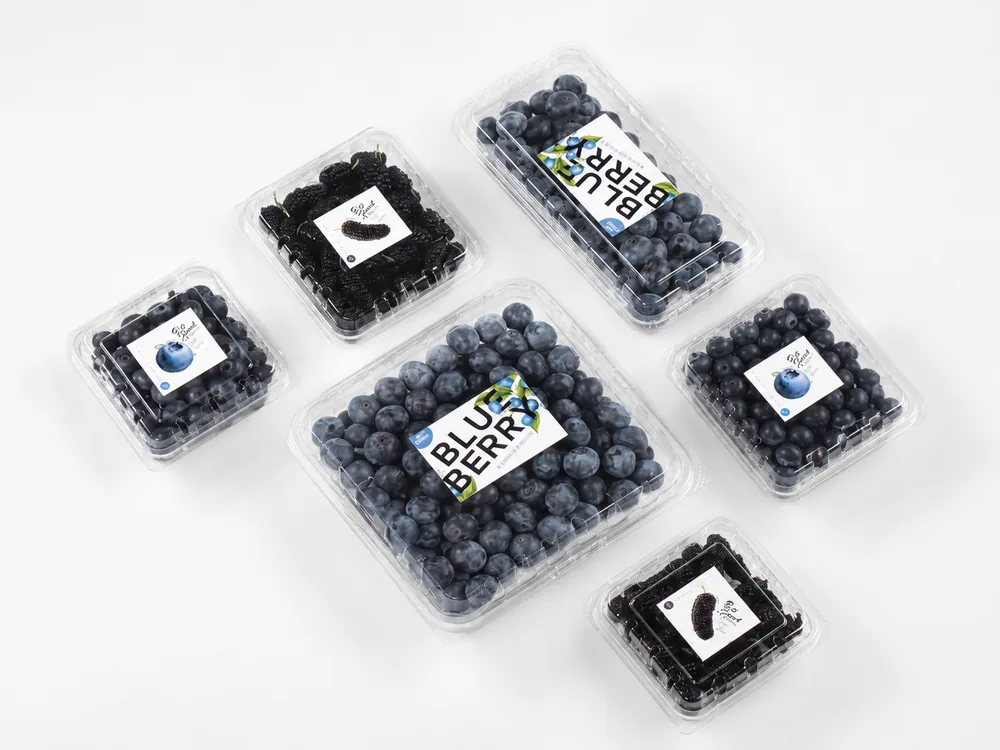 Blueberry punnet sizes for 125g 250g and 500g retail packs