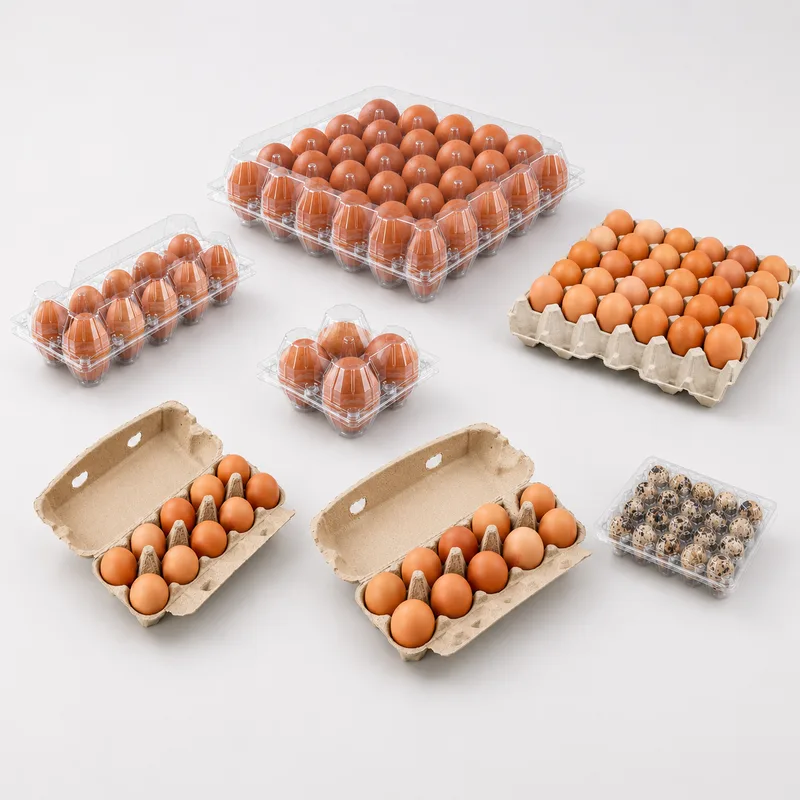 Clear and pulp egg cartons and quail egg trays for farms and retail packaging