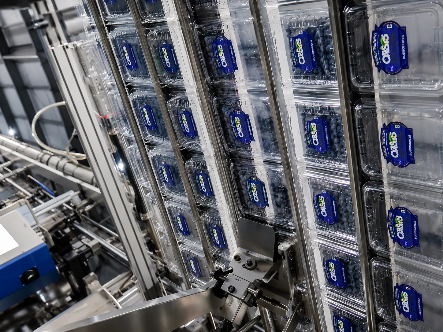 Labeling blueberry packaging