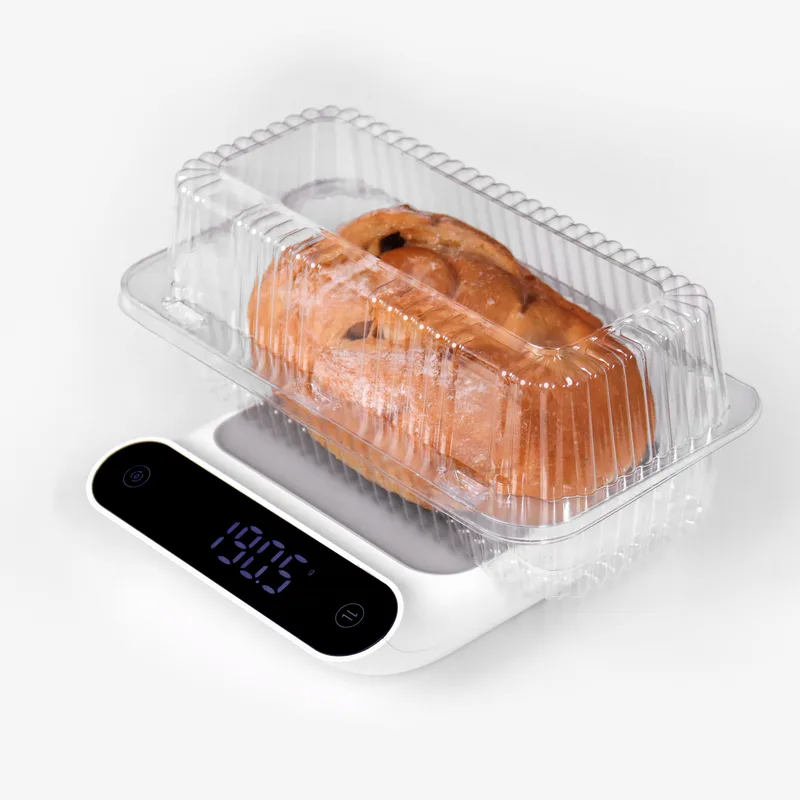 STL-C9X20-C9X20-Croissant and Pastry Containers