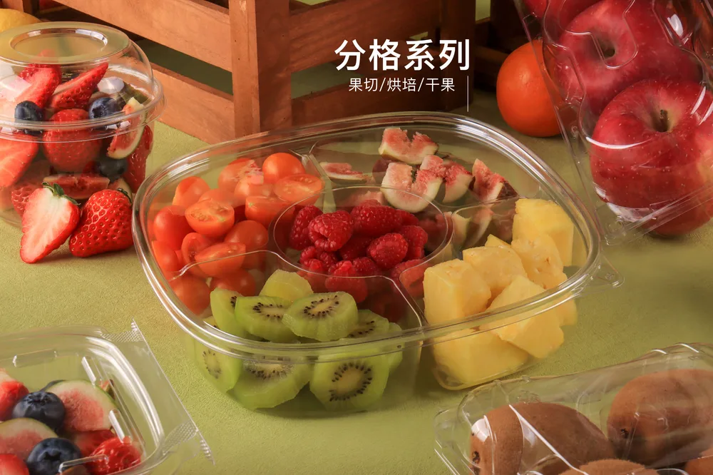 STL-QG-5 Fresh Cut Fruit Containers