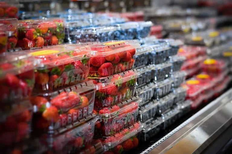 Berry clamshells displayed in refrigerated supermarket shelves for retail sale