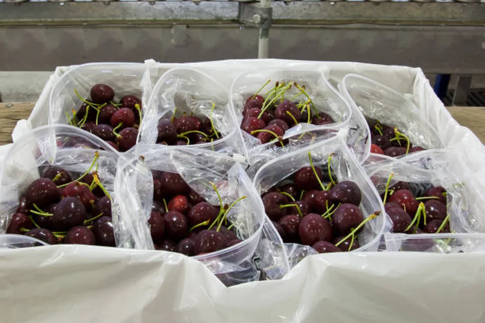 Fresh cherries packed in plastic produce bags - fruit packaging comparison