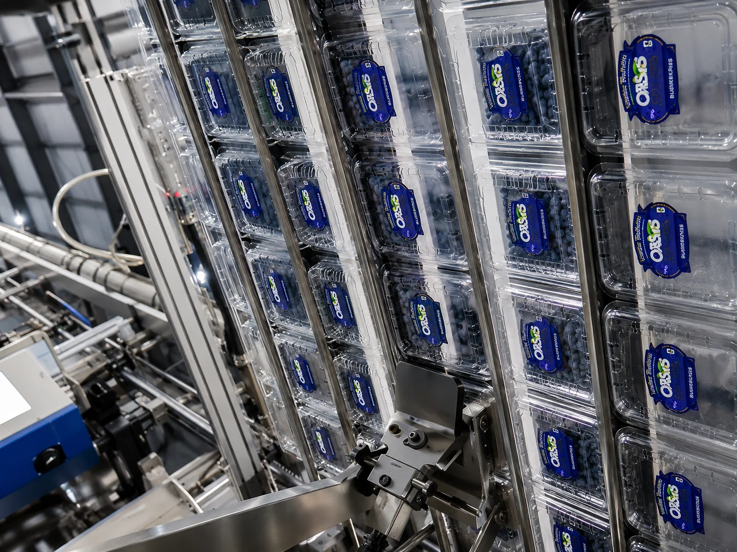 StlPak clear blueberry packaging with factory-direct supply options