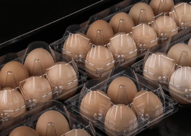 Classic clamshell box egg packaging - PET plastic egg containers for 6 to 30 eggs in retail display