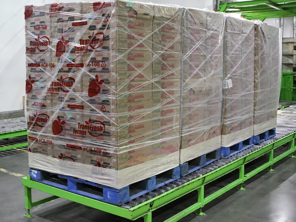Palletized fresh fruit cartons prepared for refrigerated commercial shipping and export transport