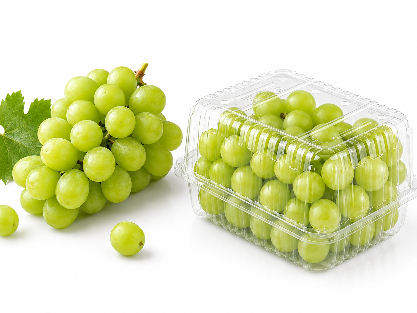 Fresh grapes packed neatly in a clear PET clamshell without compression showing proper fill level