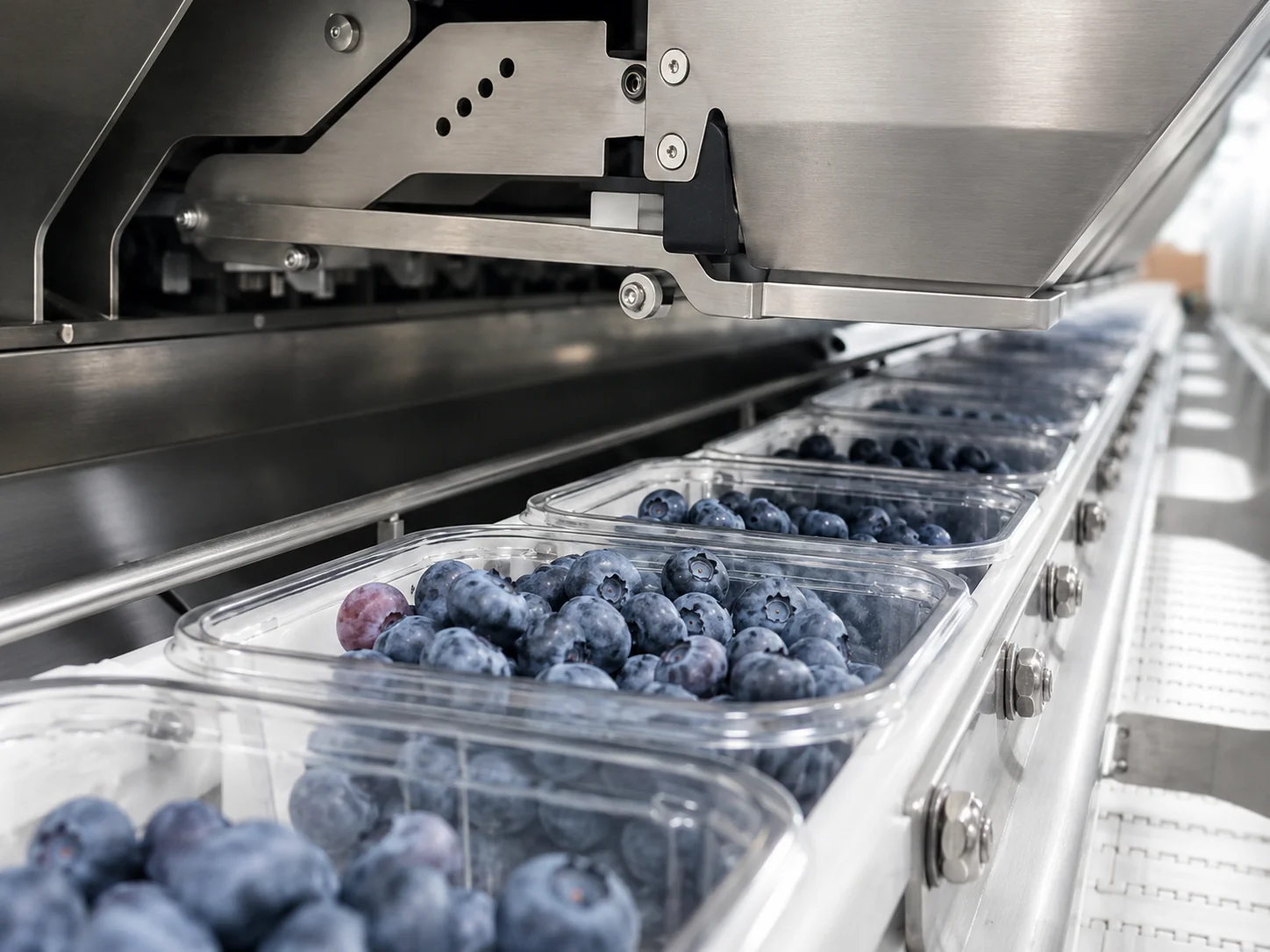 lueberry Clamshell Packaging on Filling Line