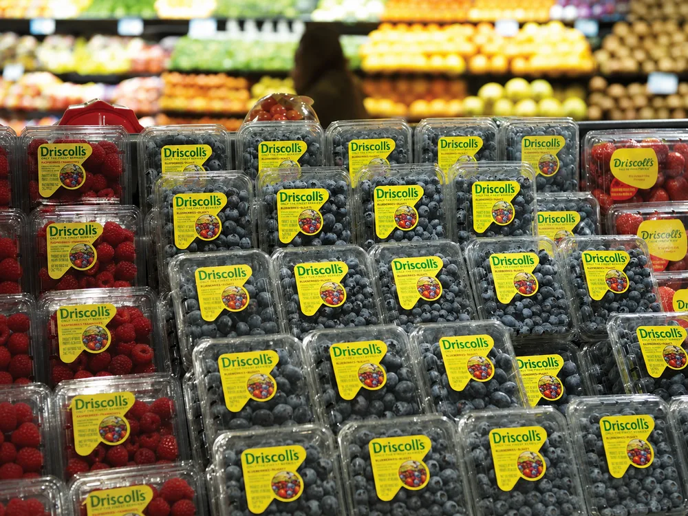 Fresh berries in labeled PET clamshell packaging on a supermarket shelf