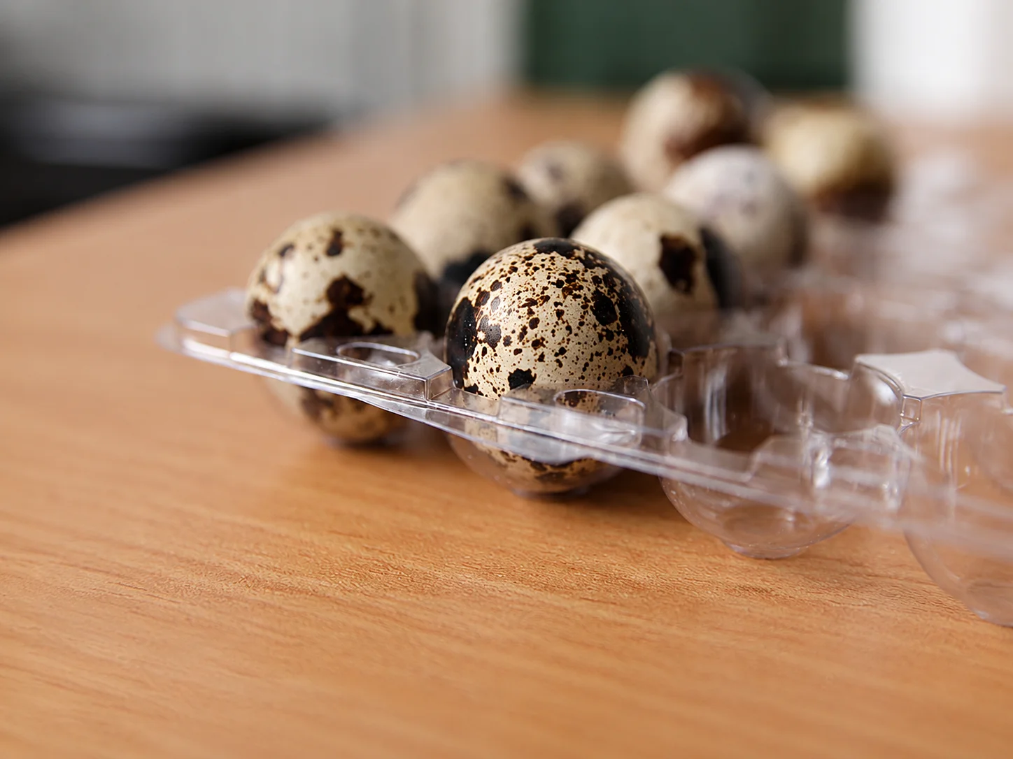 Quail Egg Container Open Closeup