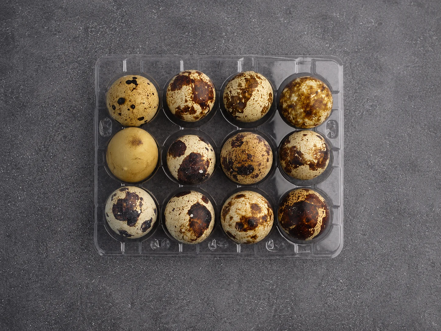 12 Count Quail Egg Container Top View