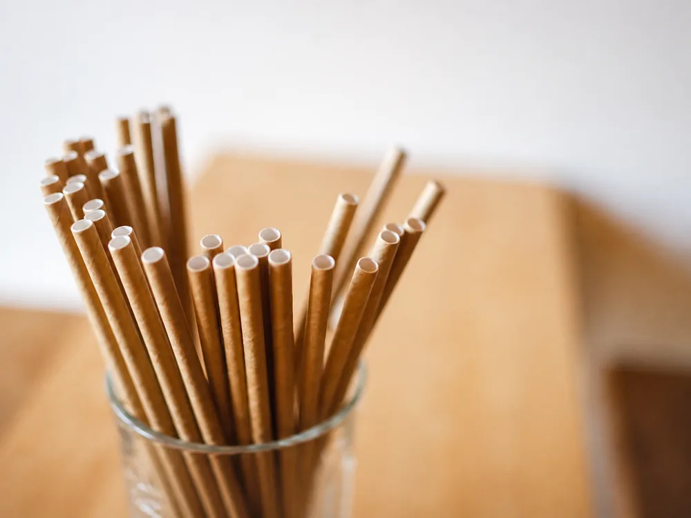 Paper Straw 01