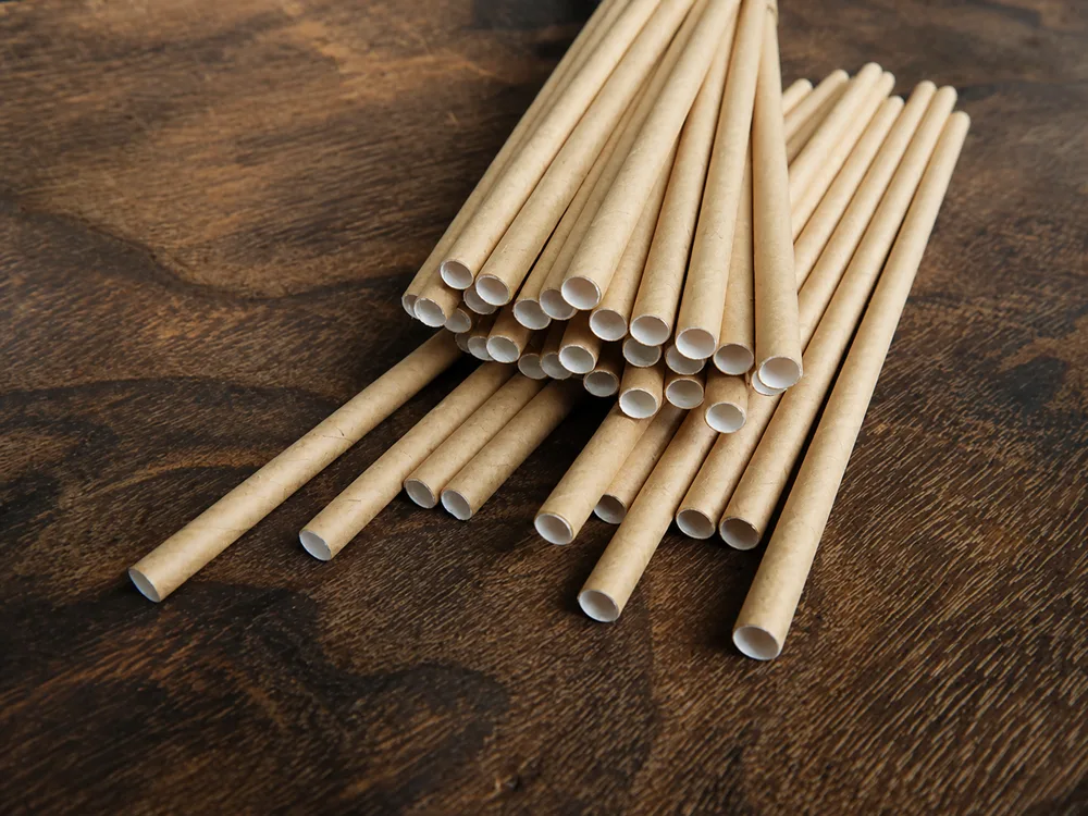 Paper Straw 02