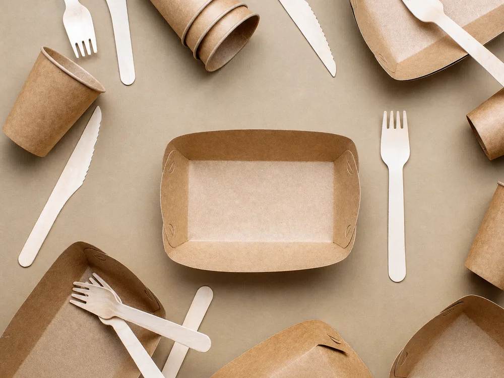 Cardboard Food Tray 01