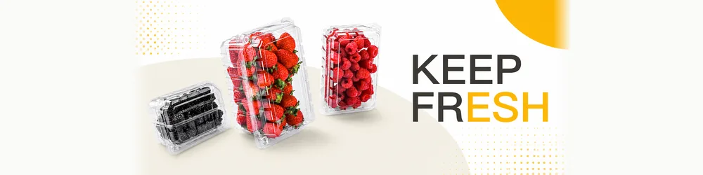 Fresh-Berry-PET-Clamshell-Packaging-Banner