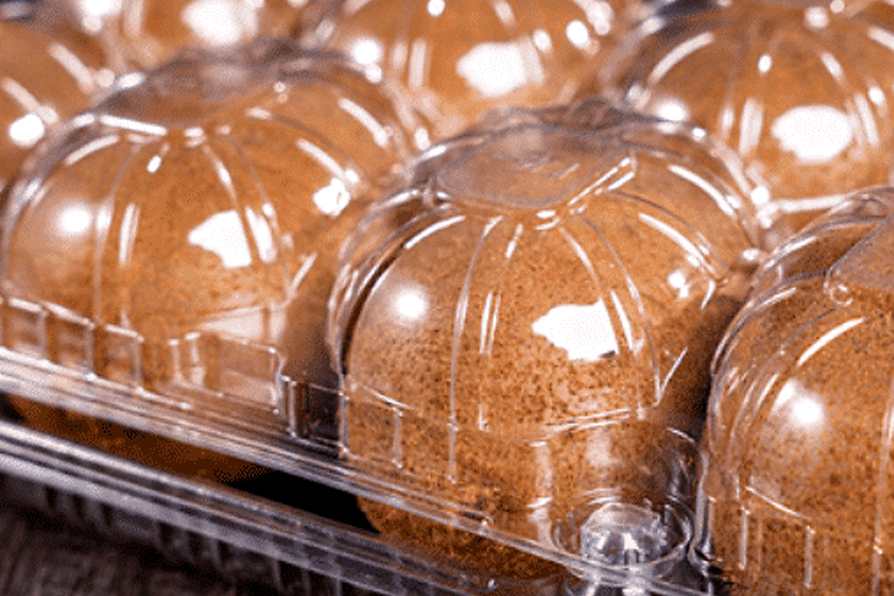 Kiwi PET clamshell packaging with fresh kiwifruit