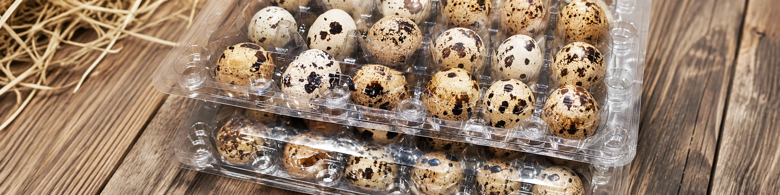 Quail Egg Cartons banner