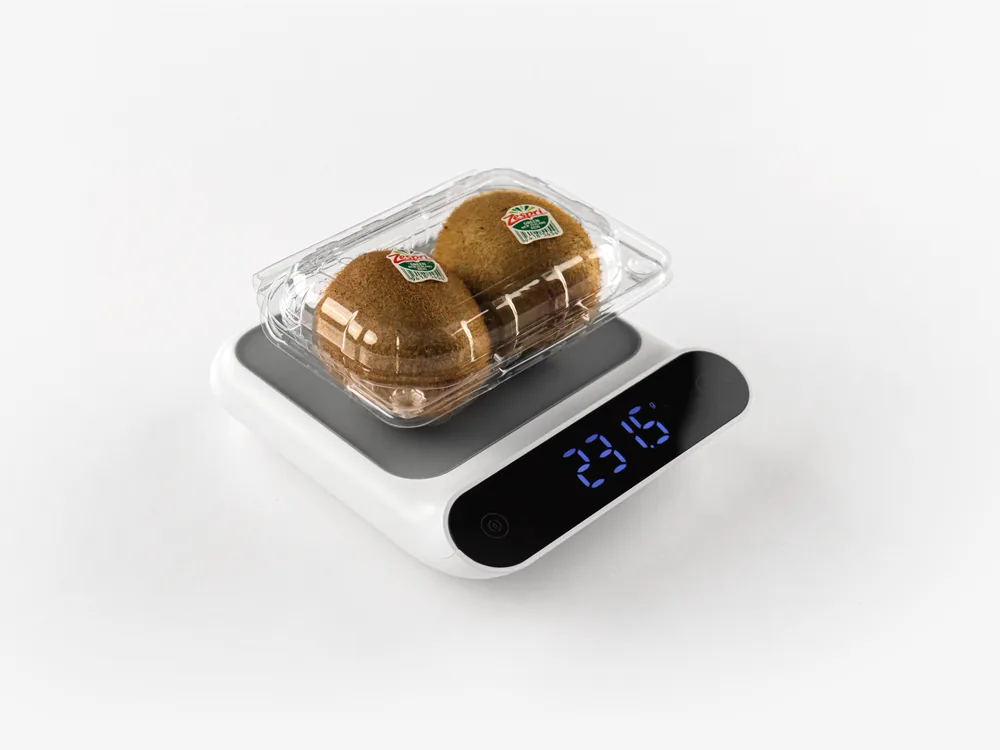 STL-012 kiwi clamshell container holding two fresh kiwis (white bg)