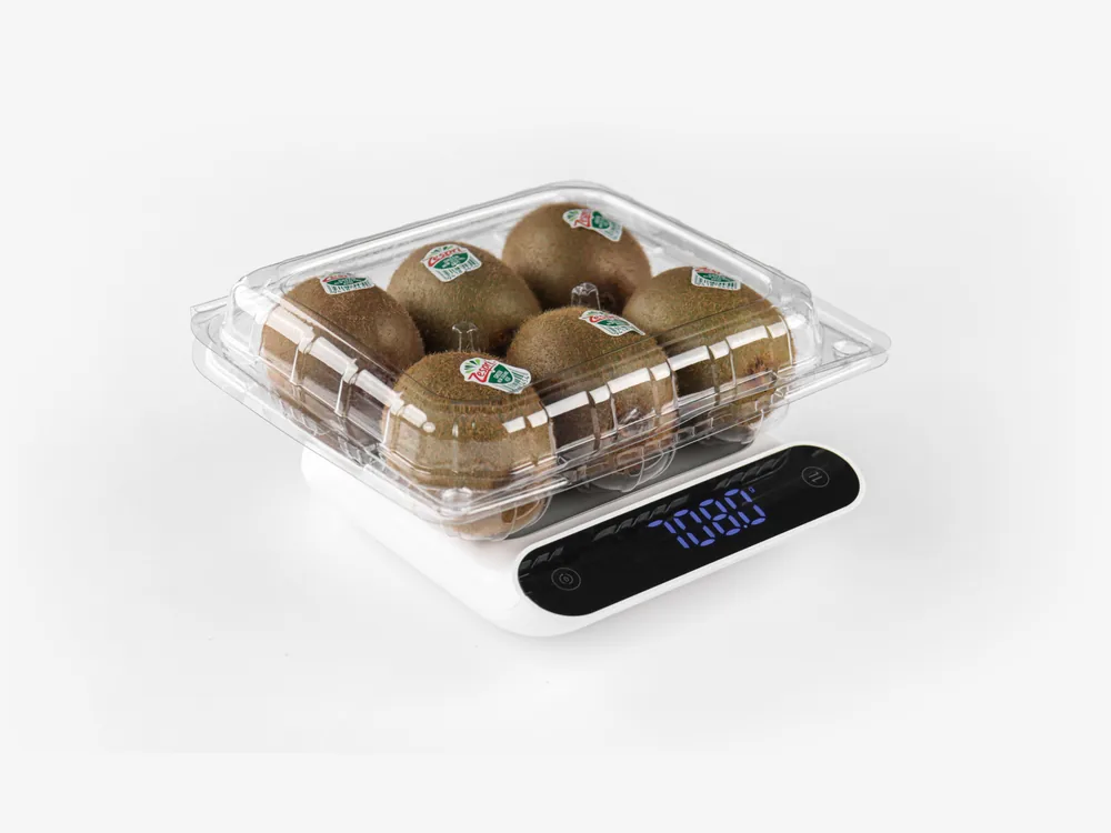STL-016C kiwi clamshell container holding six fresh kiwis (white bg)