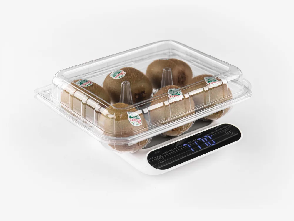 STL-016D kiwi clamshell container holding six fresh kiwis (white bg)