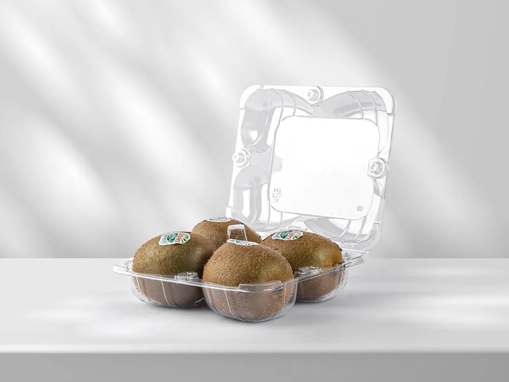 STL-016Z kiwi clamshell container holding six fresh kiwis (scene)