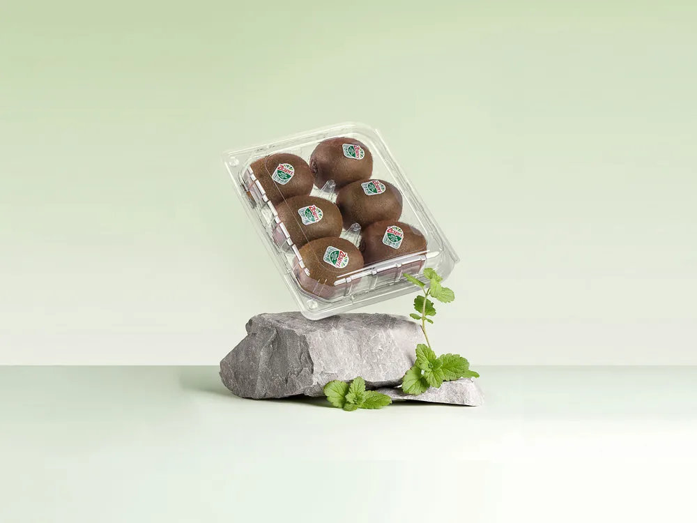 STL-016Z kiwi clamshell container holding six fresh kiwis (scene)