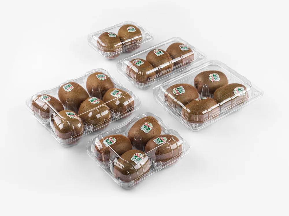 STL-016Z kiwi clamshell container holding six fresh kiwis (white bg)